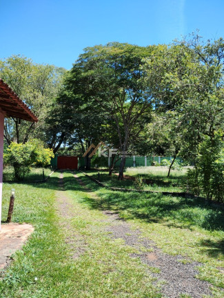 Imagem Imóvel com 3 Quartos à Venda, 5.000 m² em Itanhangá Chácaras De Recreio - Ribeirão Preto