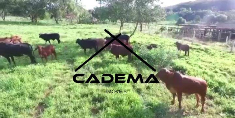 Imagem Chácara com 3 Quartos à Venda, 20 m² em Area Rural - Araraquara Imagem Chácara com 3 Quartos à Venda, 20 m² em Area Rural - Araraquara