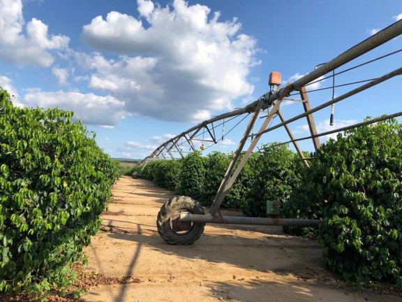 Fazenda à Venda, 1.000 m² em Centro - São Francisco