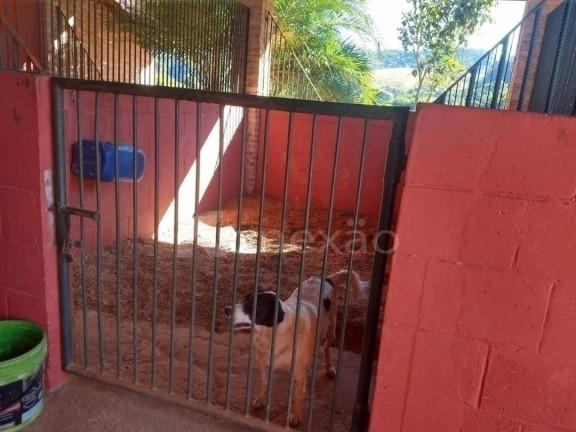 Imagem Fazenda à Venda, 350 m² em Centro - Santa Branca Imagem Fazenda à Venda, 350 m² em Centro - Santa Branca