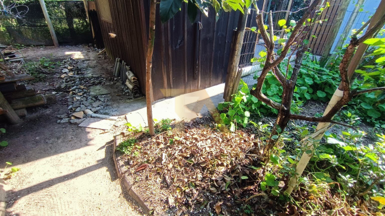 Imagem Imóvel com 3 Quartos à Venda, 156 m² em Campo D´una - Garopaba