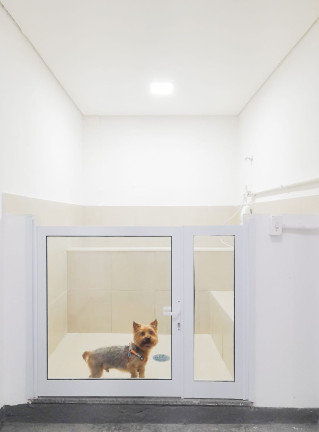 Imagem Apartamento com 1 Quarto para Alugar, 26 m² em Vila Buarque - São Paulo