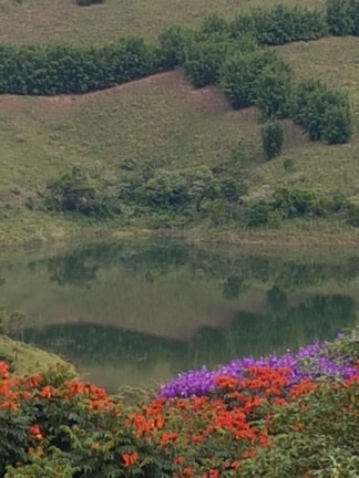 Imagem Imóvel à Venda, em Redenção Da Serra Imagem Imóvel à Venda, em Redenção Da Serra