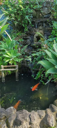 Imagem Chácara com 4 Quartos à Venda, 2.400 m² em Terra Preta - Mairiporã