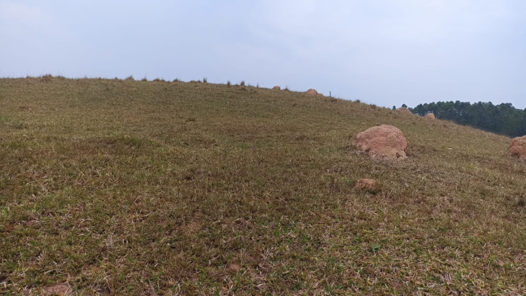 Imagem Chácara com 1 Quarto à Venda, 100 m² em Macaco - Paraibuna Imagem Chácara com 1 Quarto à Venda, 100 m² em Macaco - Paraibuna