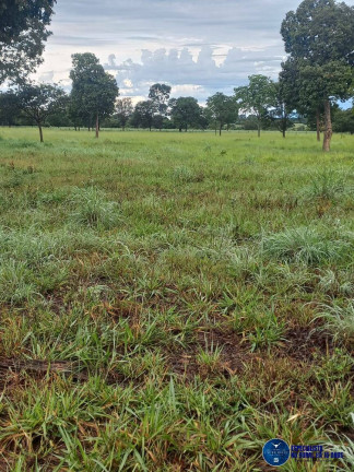 Imagem Fazenda à Venda, 197 m² em Zona Rural - Novo Brasil Imagem Fazenda à Venda, 197 m² em Zona Rural - Novo Brasil