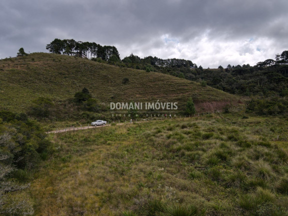 Imagem Terreno à Venda, 7.500 m² em Região Do Parque Da Ferradura - Campos Do Jordão