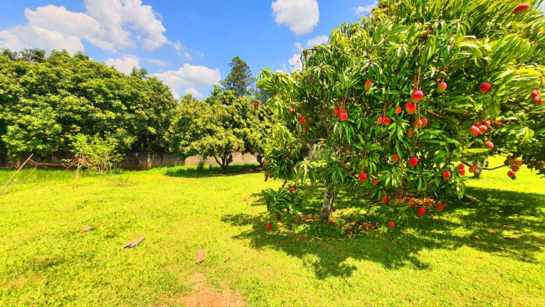 Imagem Imóvel com 2 Quartos à Venda, 3.768 m² em Jardim Estância Brasil - Atibaia Imagem Imóvel com 2 Quartos à Venda, 3.768 m² em Jardim Estância Brasil - Atibaia