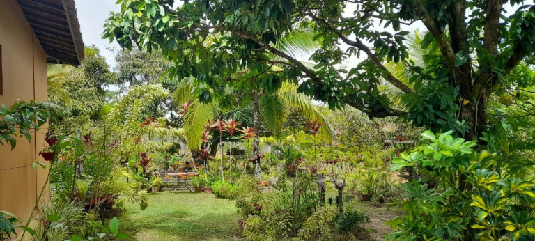 Imagem Chácara com 3 Quartos à Venda, 5.700 m² em Barra Do Pojuca (monte Gordo) - Camaçari Imagem Chácara com 3 Quartos à Venda, 5.700 m² em Barra Do Pojuca (monte Gordo) - Camaçari