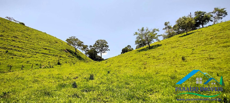 Imagem Chácara à Venda, 20 m² em Centro - Paraisópolis Imagem Chácara à Venda, 20 m² em Centro - Paraisópolis