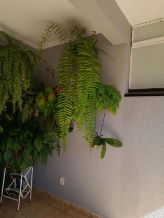 Imagem Casa com 3 Quartos à Venda, 107 m² em Horto Florestal - Sorocaba