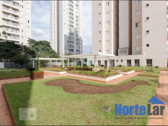 Imagem Apartamento com 3 Quartos à Venda, 74 m² em Jardim Pereira Leite - São Paulo