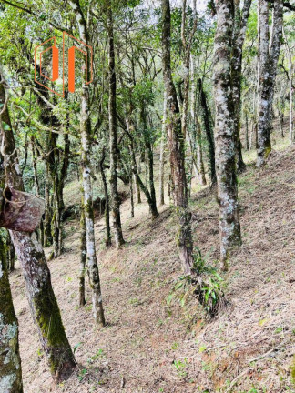 Imagem Imóvel à Venda, 10.000 m² em Contenda - São José Dos Pinhais