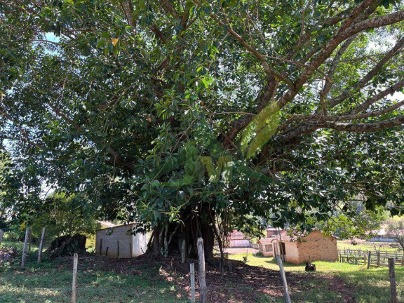Imagem Chácara com 3 Quartos à Venda, 62.000 m² em Piracaia - Piracaia Imagem Chácara com 3 Quartos à Venda, 62.000 m² em Piracaia - Piracaia