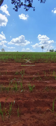 Fazenda à Venda, 493 m² em Iturama