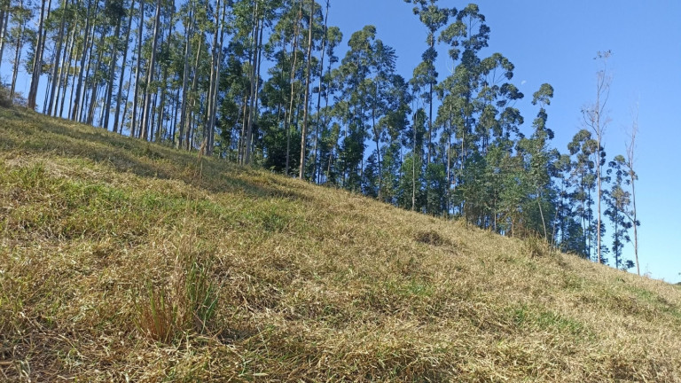 Imagem Chácara com 2 Quartos à Venda, 100 m² em Centro - Paraibuna Imagem Chácara com 2 Quartos à Venda, 100 m² em Centro - Paraibuna