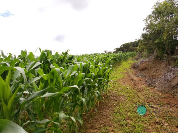Imagem Imóvel com 1 Quarto à Venda, 60.000 m² em Zona Rural - Alfredo Wagner