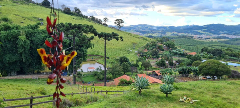 Imagem Chácara com 3 Quartos à Venda, 24.000 m² em Pedra Bela