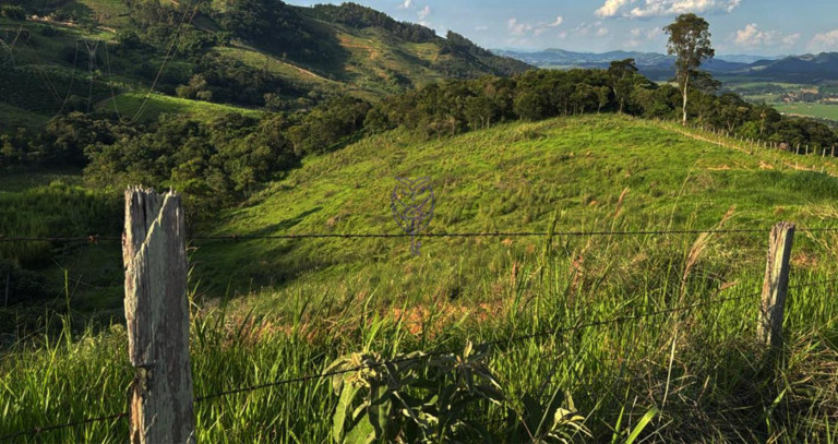 Imagem Casa à Venda, 240.000 m² em Vendão - Serra Negra Imagem Casa à Venda, 240.000 m² em Vendão - Serra Negra
