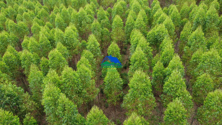 Imóvel com 2 Quartos à Venda, 90 m² em Zona Rural - Aiuruoca