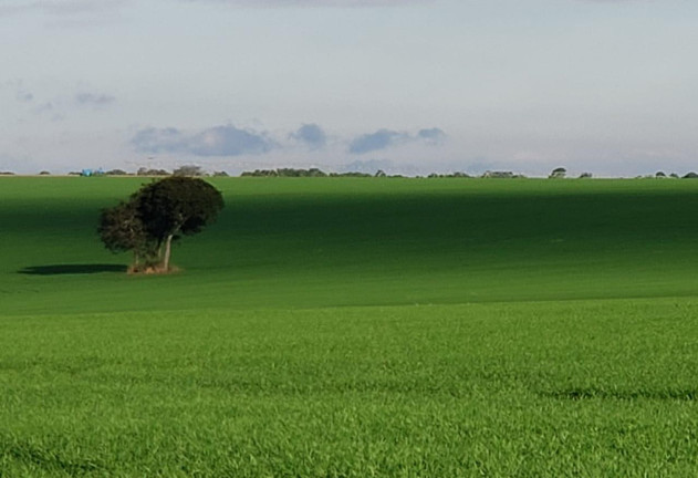 Imagem Fazenda à Venda, 2.178 m² em Rural - Itaí Imagem Fazenda à Venda, 2.178 m² em Rural - Itaí