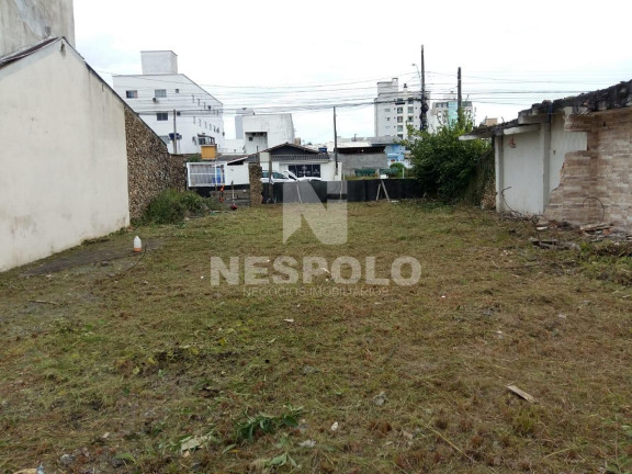 Imagem Terreno à Venda,  em Santa Regina - Camboriu