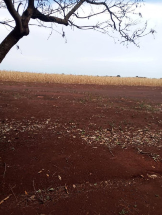 Imagem Fazenda à Venda, 38 m² em Rural - Piraju Imagem Fazenda à Venda, 38 m² em Rural - Piraju