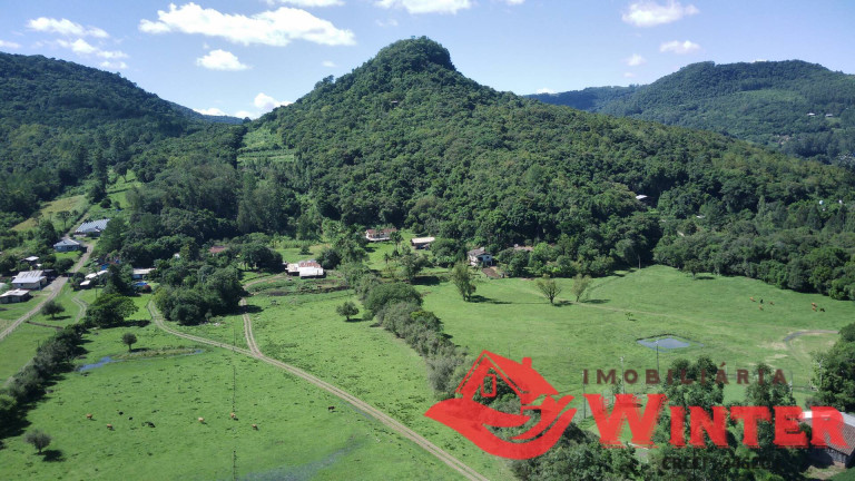 Chácara à Venda, 110.000 m² em Picada Cara - Feliz