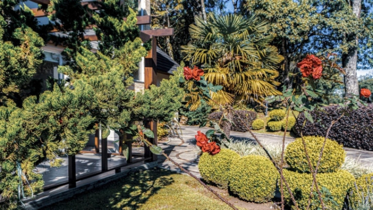 Imagem Casa com 4 Quartos à Venda, 333 m² em Ipê Amarelo - Gramado