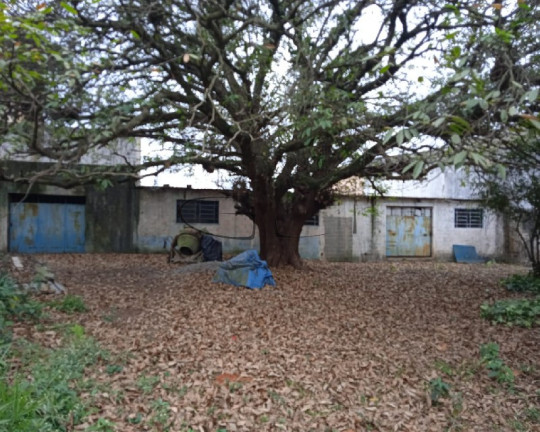 Imagem Imóvel à Venda, 18 m² em Chácara Santa Etelvina - São Paulo Imagem Imóvel à Venda, 18 m² em Chácara Santa Etelvina - São Paulo