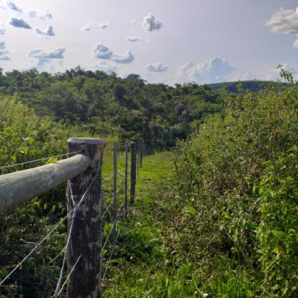 Imagem Fazenda à Venda, 179 m² em Rural - Garça Imagem Fazenda à Venda, 179 m² em Rural - Garça