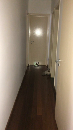 Imagem Apartamento com 3 Quartos à Venda, 125 m² em Buritis - Belo Horizonte Imagem Apartamento com 3 Quartos à Venda, 125 m² em Buritis - Belo Horizonte