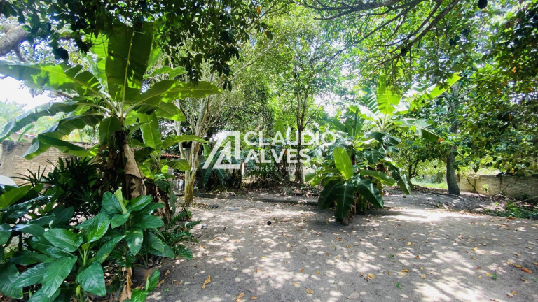 Imagem Chácara com 2 Quartos à Venda, 2 m² em Chaparral - Feira De Santana