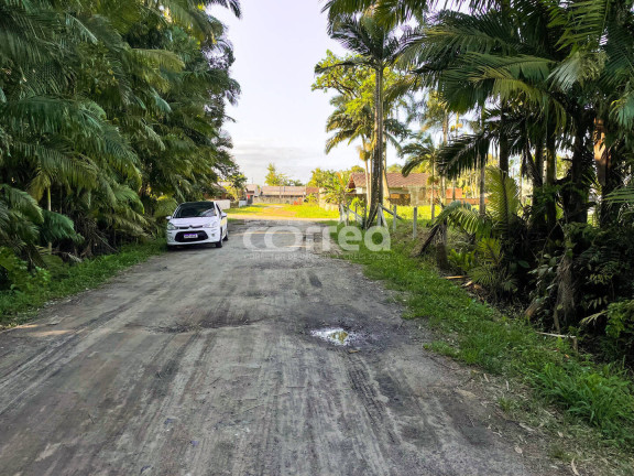 Imagem Terreno à Venda, 330 m² em Pinheiros - Balneário Barra Do Sul Imagem Terreno à Venda, 330 m² em Pinheiros - Balneário Barra Do Sul