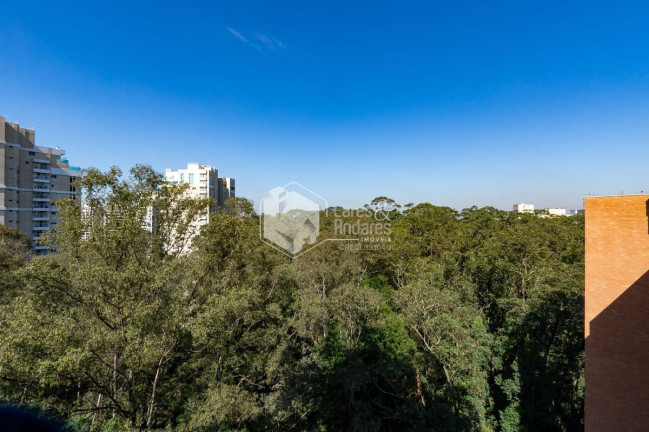 Imagem Apartamento com 3 Quartos à Venda, 119 m² em Vila Andrade - São Paulo