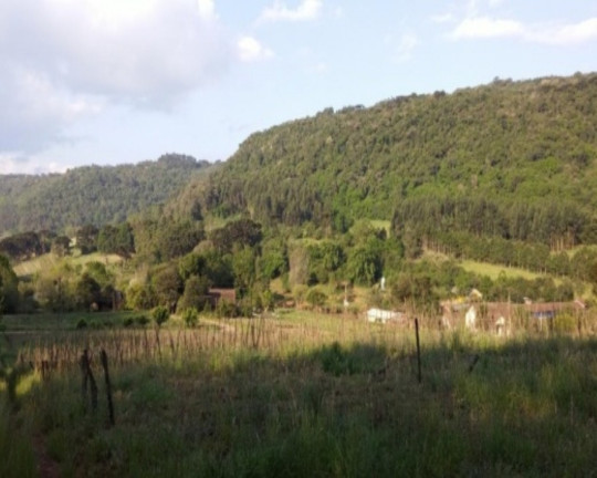 Imagem Terreno à Venda, 8.700 m² em 9 Colônias - Nova Petrópolis Imagem Terreno à Venda, 8.700 m² em 9 Colônias - Nova Petrópolis