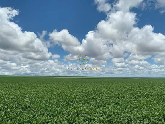 Imagem Imóvel com 3 Quartos à Venda, 16.943 m² em Zona Rural - Primavera Do Leste Imagem Imóvel com 3 Quartos à Venda, 16.943 m² em Zona Rural - Primavera Do Leste