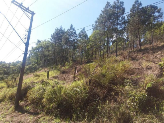 Imagem Terreno à Venda, 3.380 m² em Ouro Fino Paulista - Ribeirão Pires Imagem Terreno à Venda, 3.380 m² em Ouro Fino Paulista - Ribeirão Pires