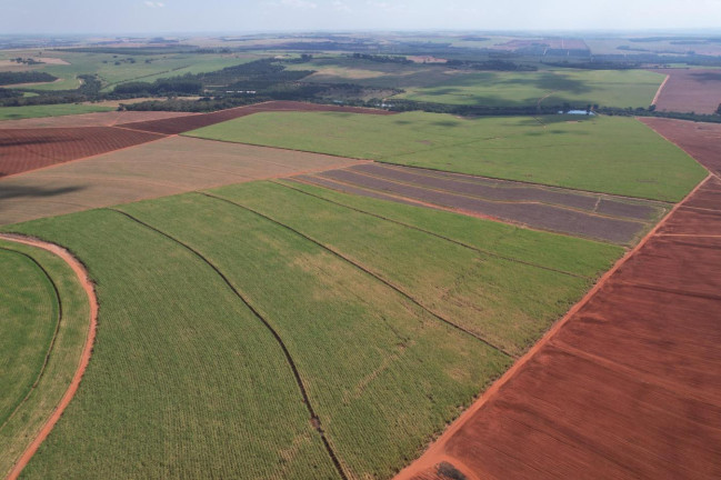Imagem Fazenda à Venda, 64 m² em Zona Rural - Bariri Imagem Fazenda à Venda, 64 m² em Zona Rural - Bariri