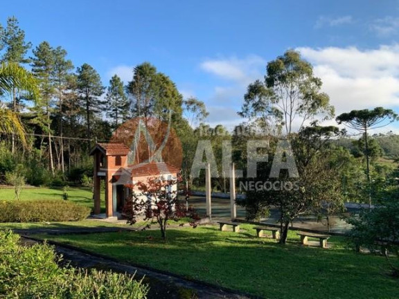 Imagem Casa com 4 Quartos à Venda, 40.000 m² em Loteamento Vale Florido - Embu Guaçu Imagem Casa com 4 Quartos à Venda, 40.000 m² em Loteamento Vale Florido - Embu Guaçu