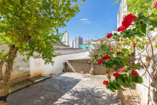 Imagem Casa com 3 Quartos à Venda, 280 m² em Vila Ipojuca - São Paulo Imagem Casa com 3 Quartos à Venda, 280 m² em Vila Ipojuca - São Paulo