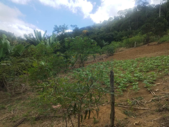 Imagem Chácara com 2 Quartos à Venda, 200 m² em Pouso Alto - Natividade Da Serra
