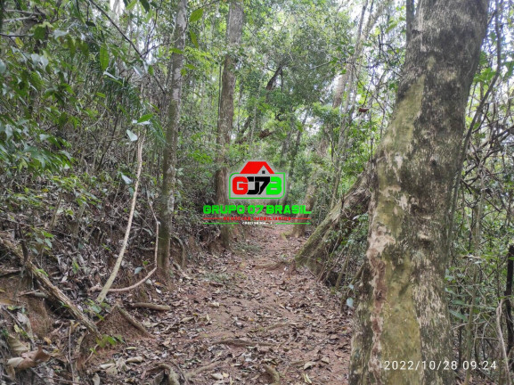Imagem Chácara à Venda, 16.000 m² em Canaã - Jambeiro Imagem Chácara à Venda, 16.000 m² em Canaã - Jambeiro