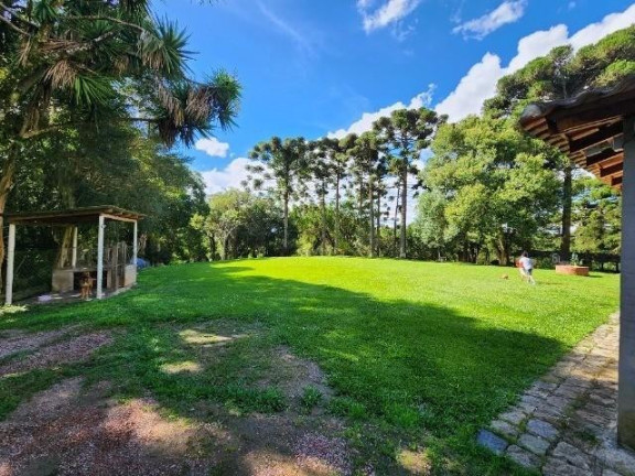 Imagem Imóvel com 3 Quartos à Venda, 51.000 m² em Campo Largo Da Roseira - São José Dos Pinhais