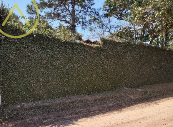 Imovel