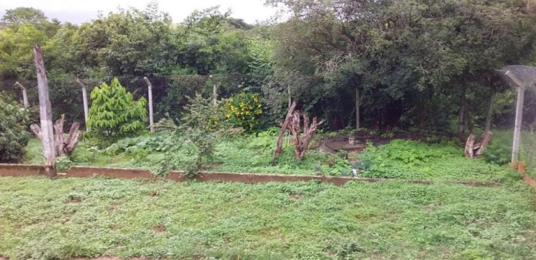Imagem Casa com 2 Quartos à Venda, 600 m² em Morro Do Alto  - Itapetininga