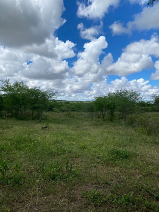 Imagem Fazenda à Venda, 310.000 m² em Br 116 - Euclides Da Cunha Imagem Fazenda à Venda, 310.000 m² em Br 116 - Euclides Da Cunha