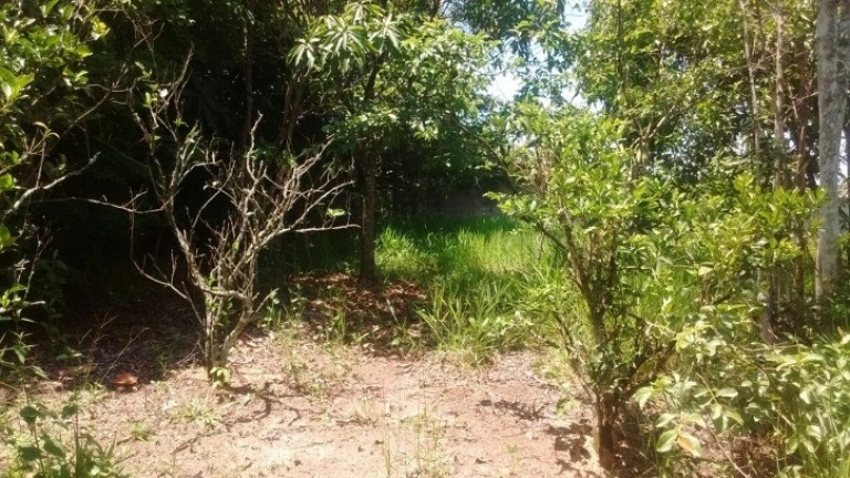 Imagem Chácara com 2 Quartos à Venda, 1.000 m² em Chacara Santa Maria - Jacareí