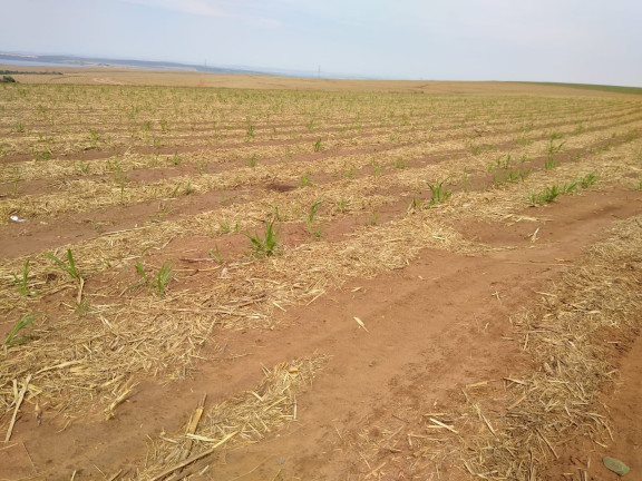 Imóvel à Venda, 128 m² em Area Rural De Brotas - Brotas