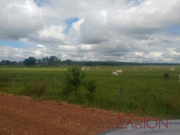 Imagem Fazenda à Venda, 13.000 m² em Jardim Paraíso - Naviraí